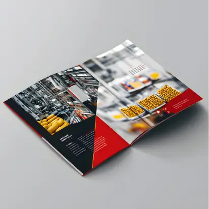 Catalogs Printing
